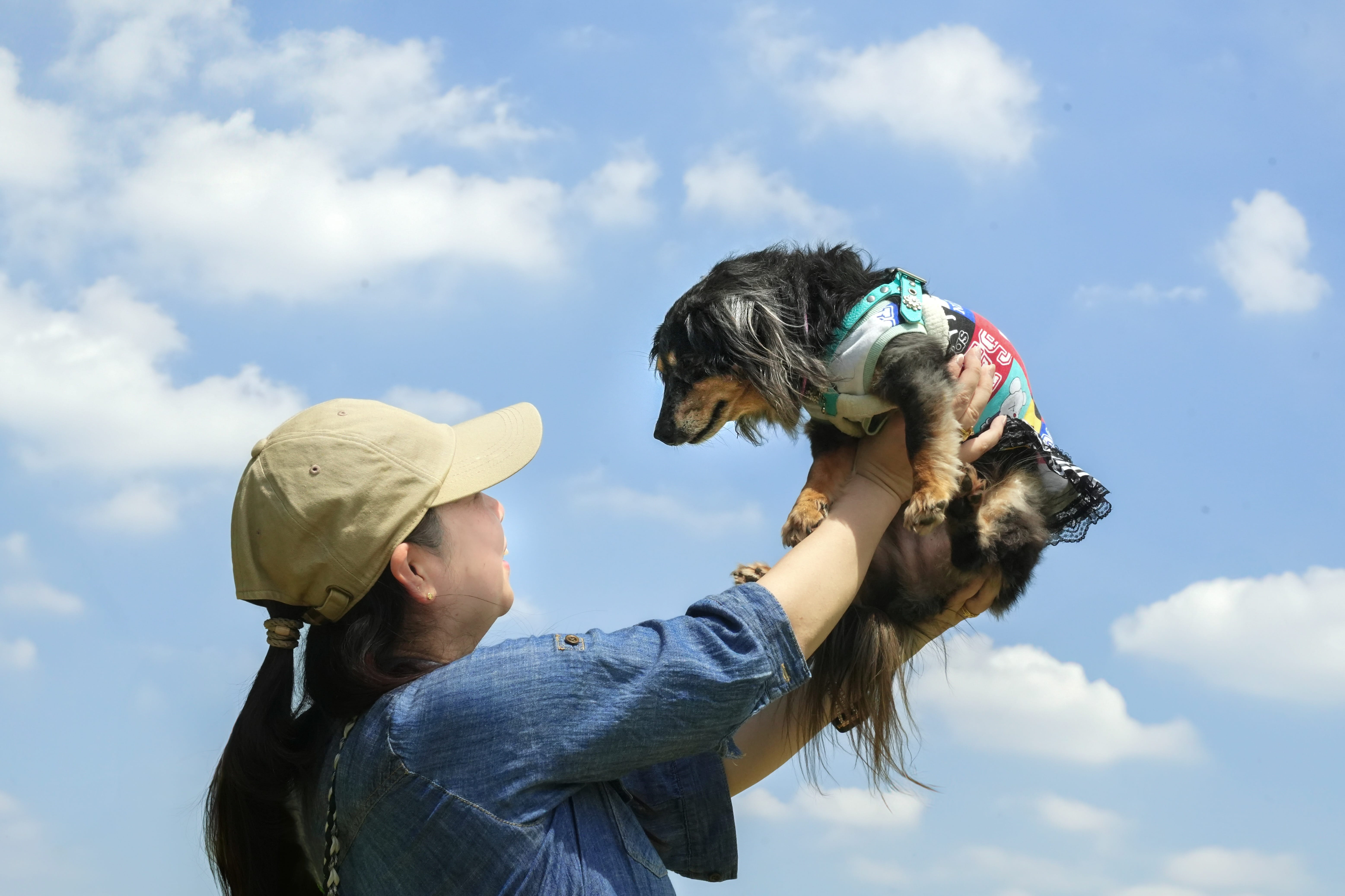 自然光で撮影した愛犬のポートレート